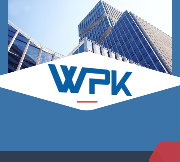 Wise Pick Electronics Set Its Global Vision in Motion in 2013